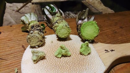 Hay varias especies de Wasabi pero todas comparten el mismo perfil de sabor