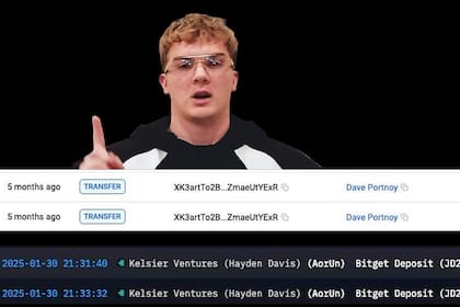 Hayden Mark Davis y los datos de sus transferencias