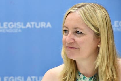 Hebe Casado, vicegobernador de la provincia de Mendoza, publicó un descargo en la red social X