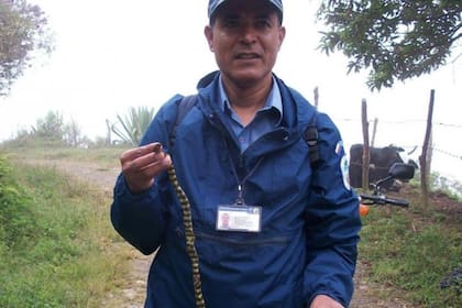 Héctor Francisco Montoya Olaya sostiene una serpiente de la misma especie que la que lo mordió