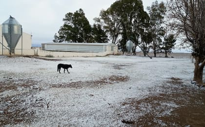 Heladas y nevadas en la region nucleo