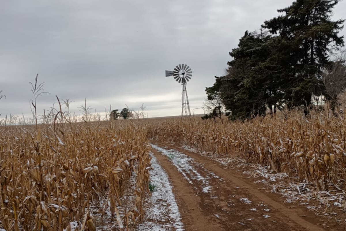 Heladas y nevadas en la regioón núcleo