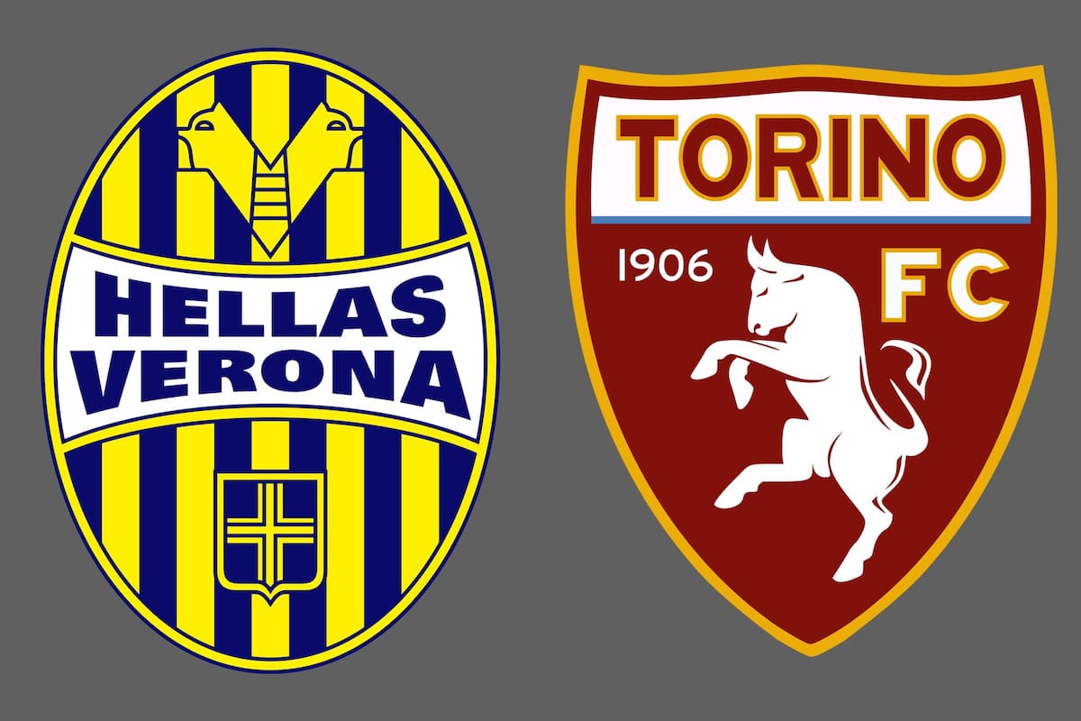 Hellas Verona y Torino disputaron uno de los encuentros de la jornada del fútbol italiano