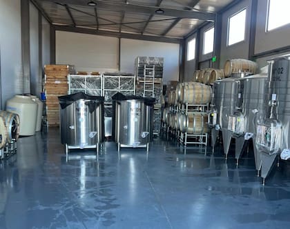 “Hemos invertido mucho en tecnología, tanto para el viñedo como para la bodega”, dice el emprendedor