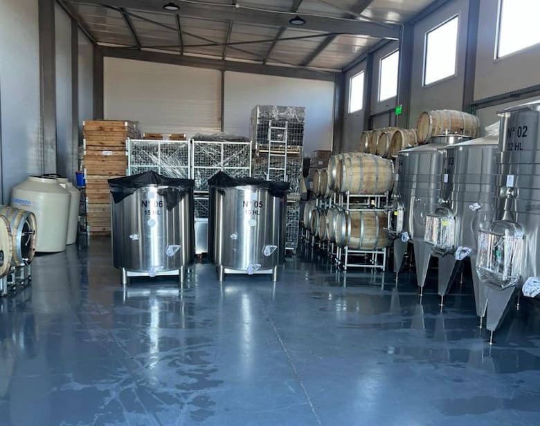De los algoritmos al vino: el salto de un empresario en Neuquén
