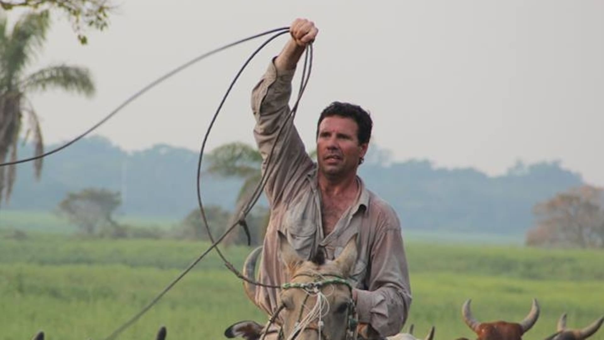 Henry de Ridder heredó parte del campo de su madre, "el 29", y compró algunas hectáreas en Carmen de Areco