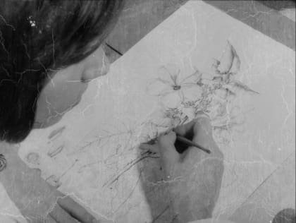 Herbaria (2022), de Leandro Listorti.