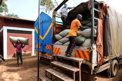Hermandad de productoras de café en Uganda quiere que más mujeres participen