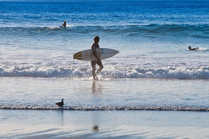 Hermosa Beach es popular por su oleaje para practicar surf (beaches.lacounty.gov)