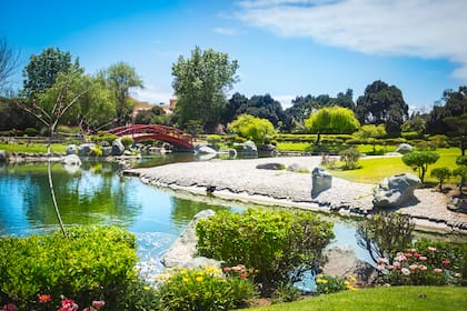 Hermoso jardín japonés con puente rojo debajo del estanque en La Serena, Chile
