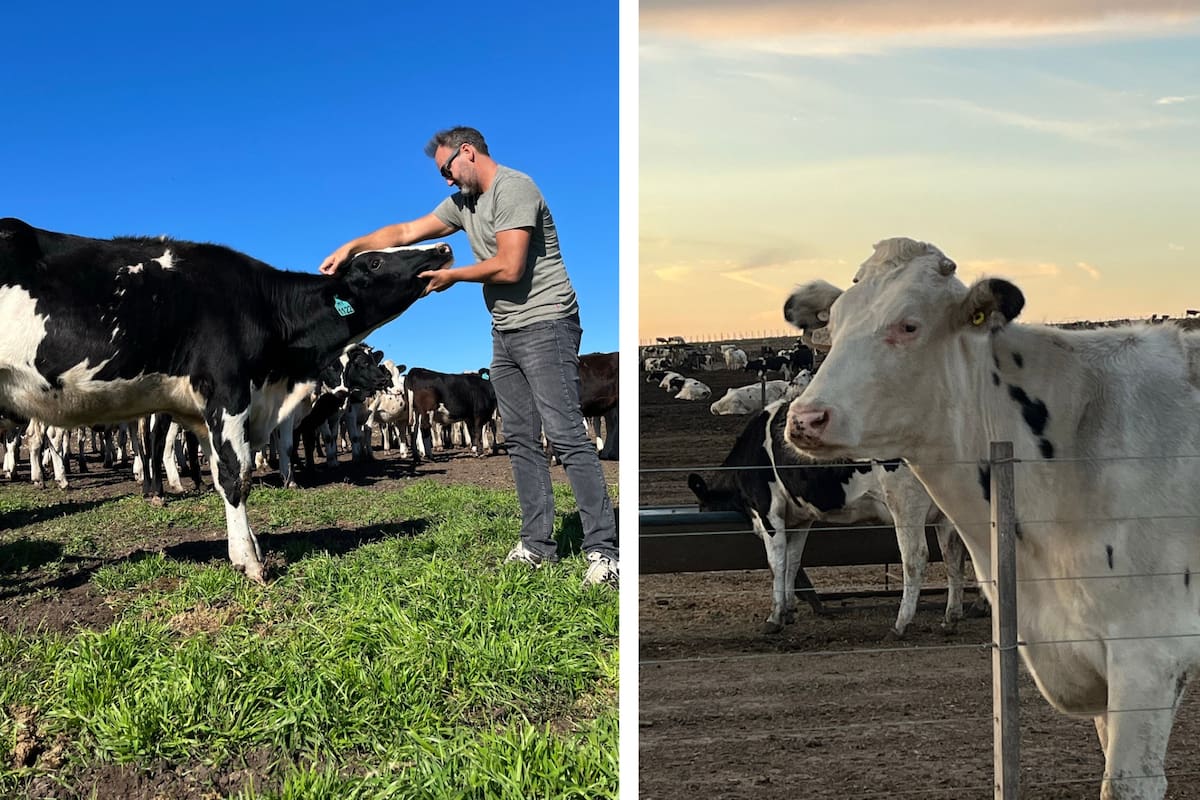 Hernán Francois es ingeniero en producción agropecuaria