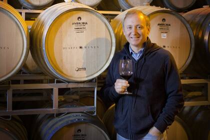 Hernández Toso, presidente de Wines of Argentina