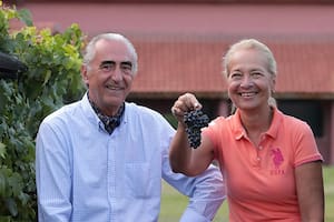 Hervé Fabre y su esposa producen vinos con socios en Mendoza y la Patagonia