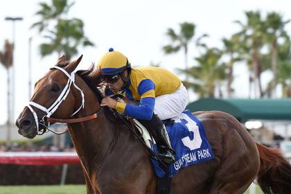 Hi Happy lleva dos primeros seguidos y en el Manhattan stakes (G 1) tendrá como rivales a Catcho en Die y al invicto chileno Robert Bruce