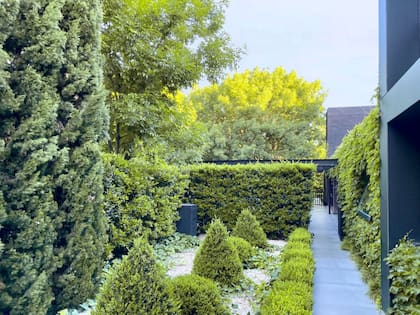 Hiedras, ampelopsis y buxus combinan con la tonalidad oscura del exterior con revestimiento laminado (Trespa)