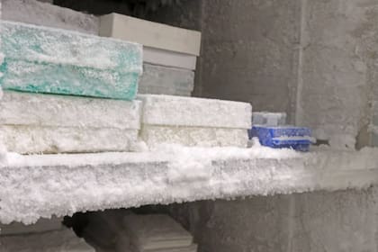 Hielo en el freezer