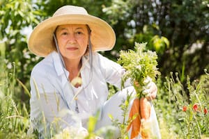 Hierro, vitaminas y calcio son algunos de los elementos esenciales que el cuerpo pide para sentirse vital y con energía