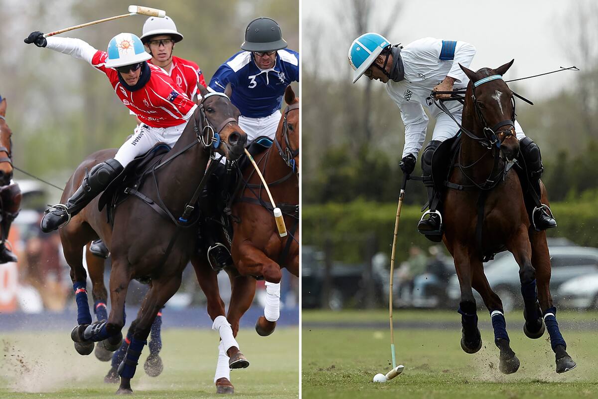 Hijo y padre, Poroto y Adolfo Cambiaso, van por caminos separados en el Abierto de Jockey Club y se enfrentarán el sábado en la final entre Scone y La Dolfina.