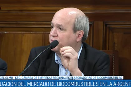 Hilarión Del Olmo, secretario de Capba