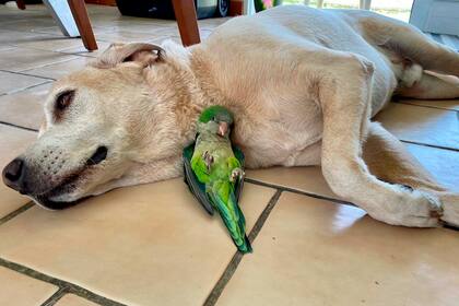 Hiro y su amiga, en una escena que se repite a diario