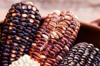 La humita perfecta: dónde comerla y cómo prepararla