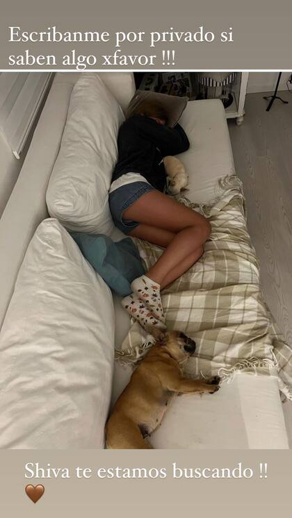 Historia que compartió Nicole Neumann en su cuenta personal de Instagram. Shiva duerme junto a Allegra (hija de Nicole) en el sillón