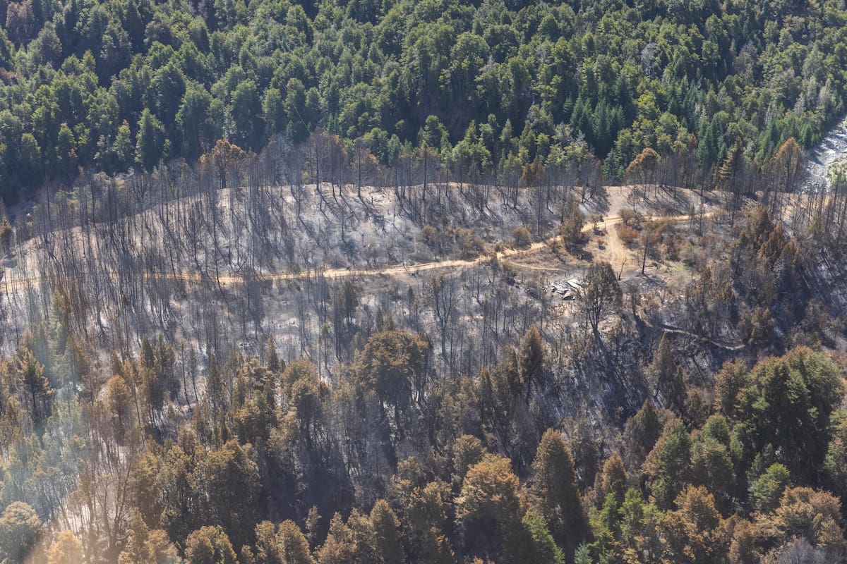 Historias de damnificados por los incendios en Maillín Ahogado