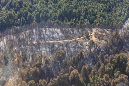 Historias de damnificados por los incendios en Maillín Ahogado