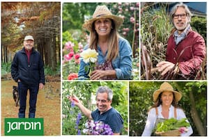 Historias del jardín.