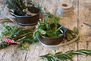 Históricamente, las hierbas se usaron en la medicina tradicional