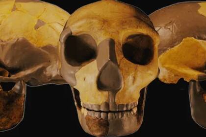 HLD 6, así identificaron al cráneo que hallaron en China y que se trataría de un nuevo linaje del humano moderno