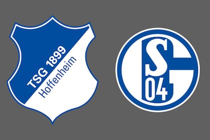 Hoffenheim-Schalke 04