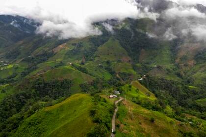 Hojas de Coca; Colombia; semisumergibles; sumergibles; BBC; BBC Mundo; Drogas; Narcotráfico; contrabando; Rutas marítimas y fluviales; cauca; Narcos