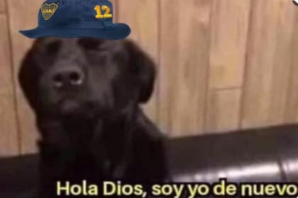 "Hola Dios" es uno de los principales memes del partido de Boca vs. Bayern Múnich (Foto: Captura X@Labocatw)