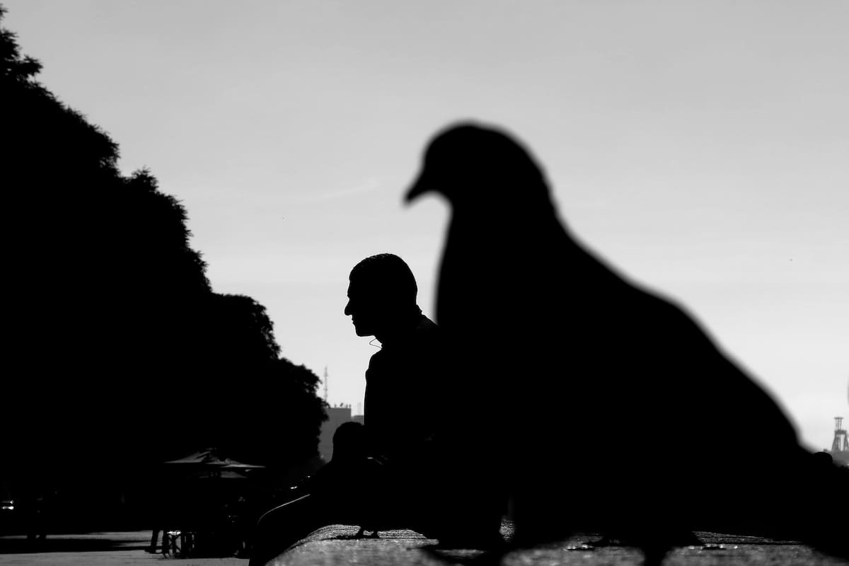 "Hombre paloma", de Eduardo Longoni, de 2015