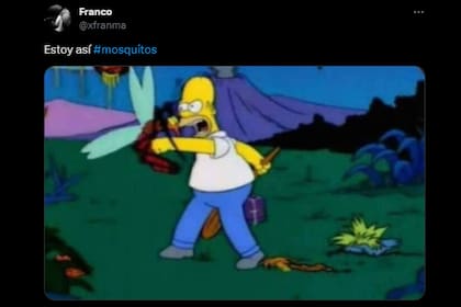 Homero Simpson no falto en los memes (Foto X)