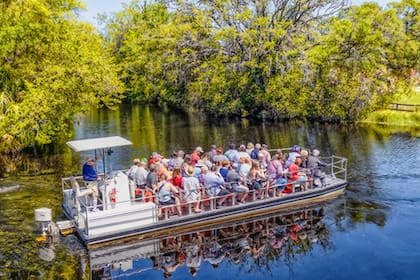 Homosassa Springs es una población ideal para conectar con la naturaleza