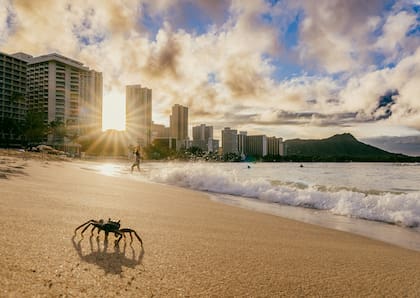Honolulu, Hawaii también destacó en el listado como una de las mejores ciudades para visitar. Foto: Unsplash