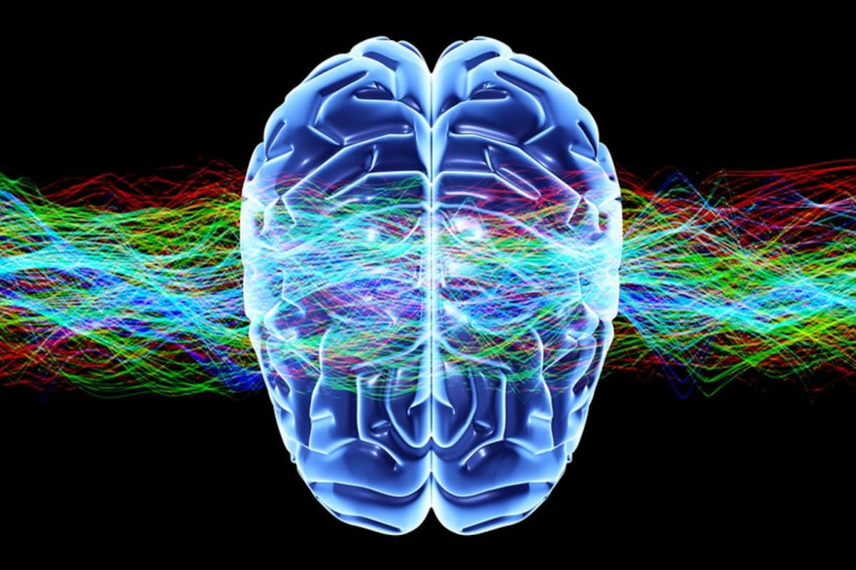 Hope estudia la regulación del sistema nervioso