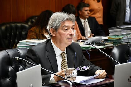 Horacio Rosatti en el Consejo de la Magistratura