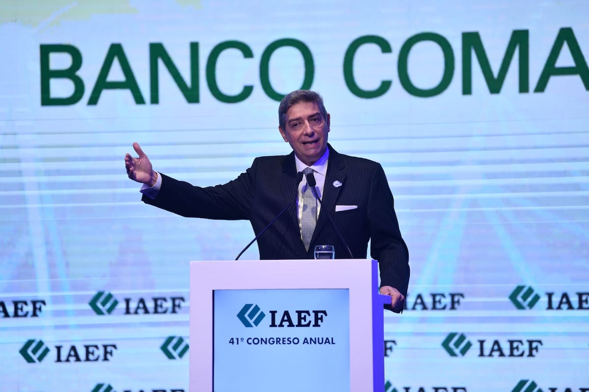 Horacio Rosatti, este martes por la tarde en el Congreso del IAEF