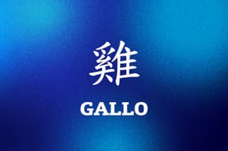Así será el año del Caballo de Fuego para el Gallo