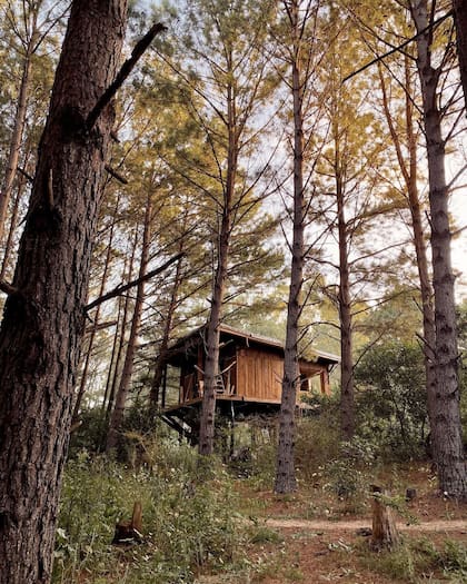 Hospedajes en medio de la naturaleza en Punta del Este