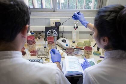 El laboratorio del Hospital Militar Cosme Argerich