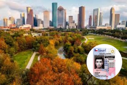 Houston cuenta con 9 centros de la DPS habilitados para obtener una credencial REAL ID. (Canva-Texas Gov)