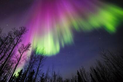 Hoy, 16 de abril, será la mejor noche para observar las auroras boreales