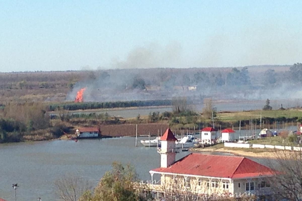Hoy apareció un nuevo foco frente a San Pedro, en la provincia de Entre Ríos