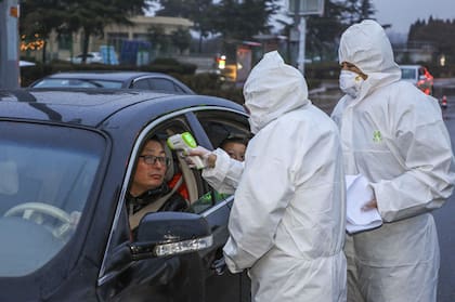 Hoy el director de la Organización Mundial de la Salud llegará al país para examinar con las autoridades cómo frenar la epidemia