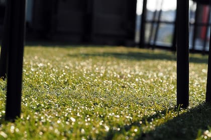 Hoy en el mercado existen alternativas de alfombras de césped sintético con aspecto similar a las de césped natural. El efecto al pisarlo no es el mismo, pero entre colocarlo o no, la decisión de incorporarlo puede ofrecer algunas ventajas.