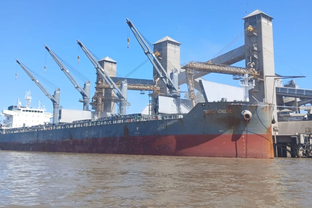 Hoy en el río Paraná: uno de los buques que cargaban granos con las "viejas" retenciones